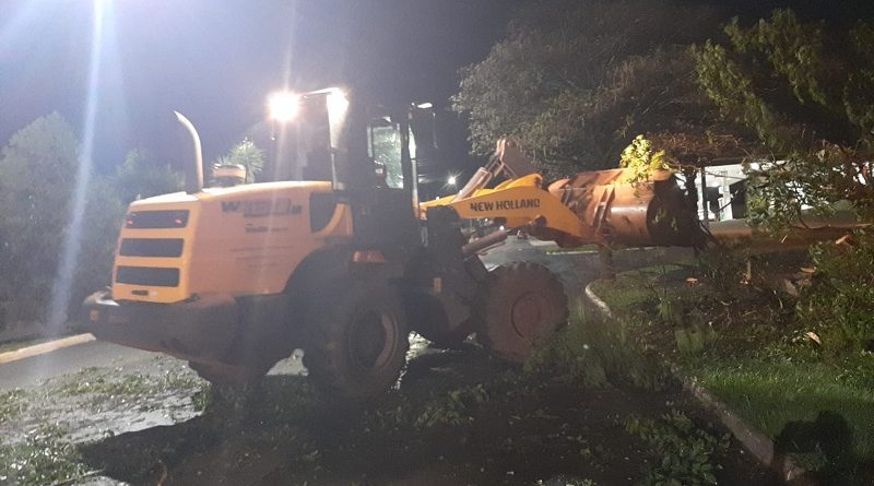 Defesa Civil e Secretaria de Obras retiram árvores caídas após chuva forte