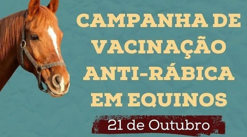 Campanha de vacinação antirrábica em equinos acontece neste sábado